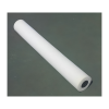Court Squeegee Spare Roller